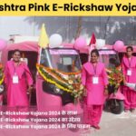 maharashta pink e riksha